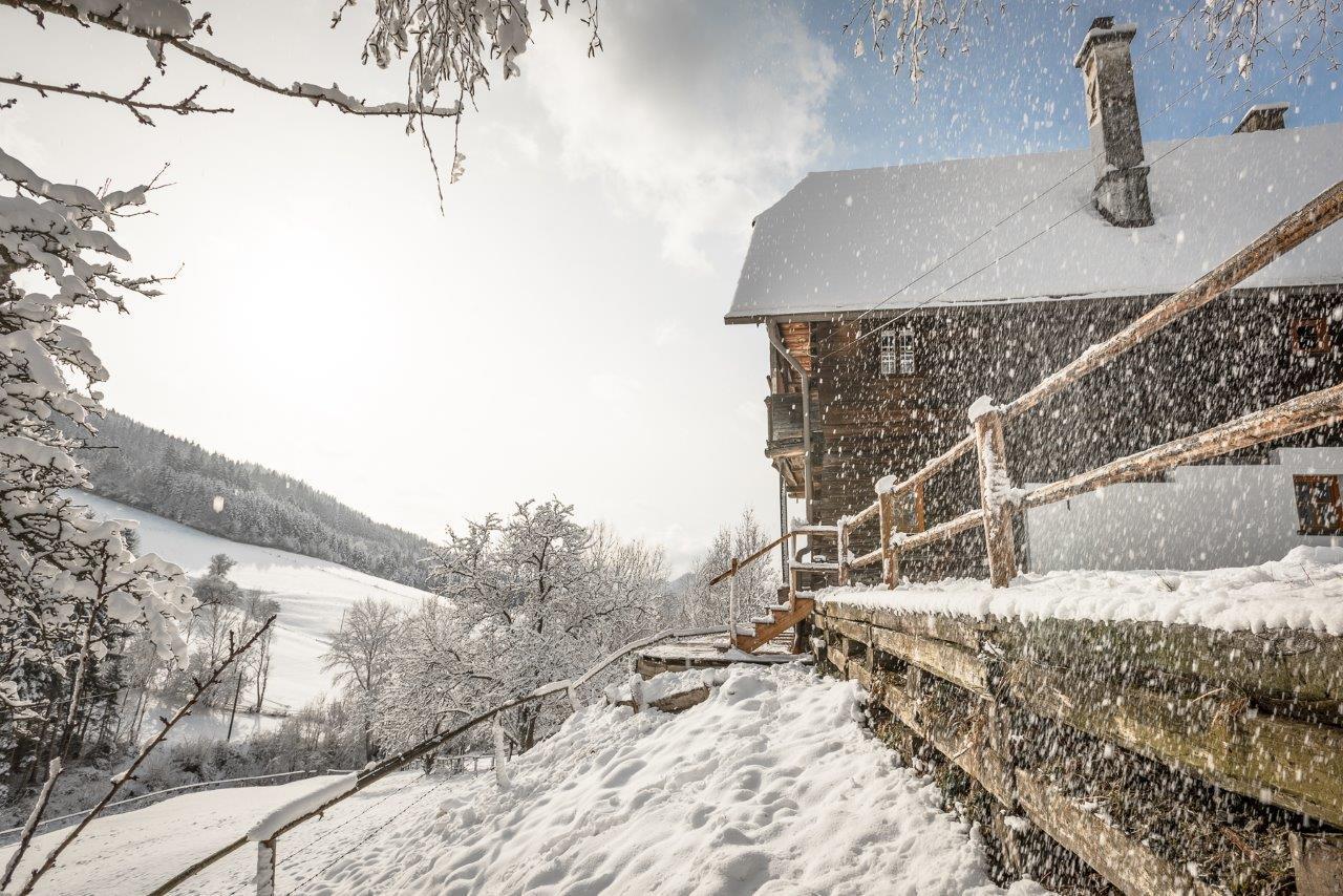 Preggraben Urlaub Auf Der Alm "Deluxe"ヴィラ エクステリア 写真