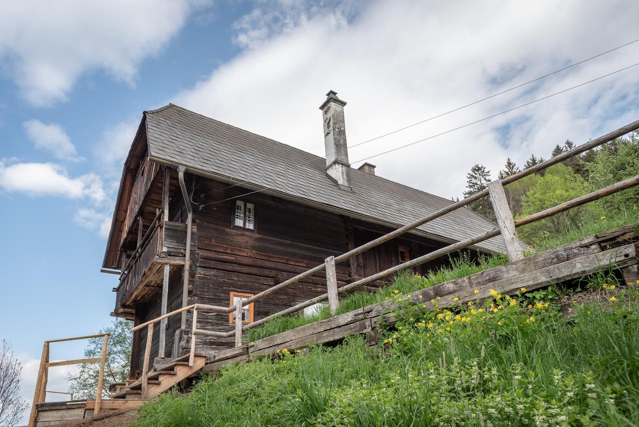Preggraben Urlaub Auf Der Alm "Deluxe"ヴィラ エクステリア 写真
