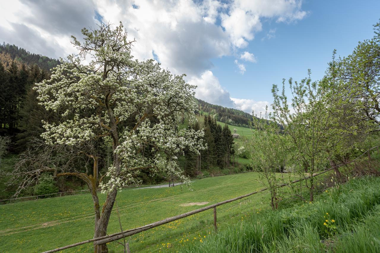 Preggraben Urlaub Auf Der Alm "Deluxe"ヴィラ エクステリア 写真