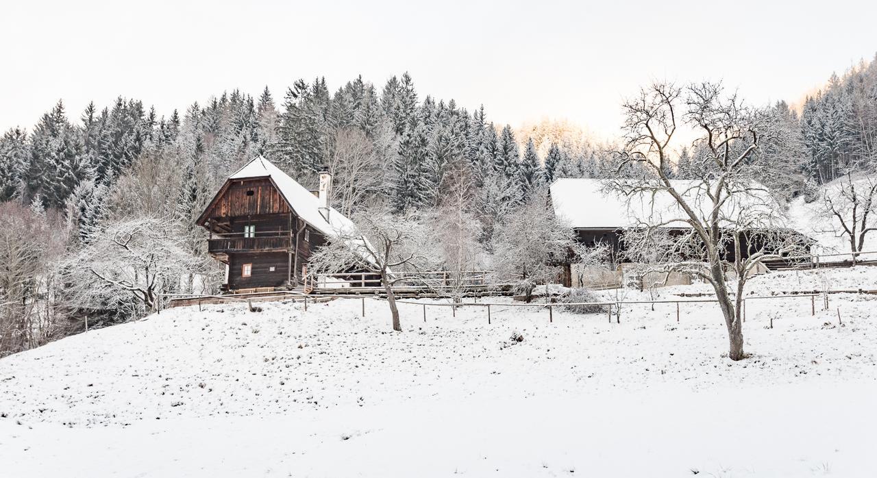 Preggraben Urlaub Auf Der Alm "Deluxe"ヴィラ エクステリア 写真